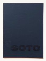 Soto. Kinetische bilder