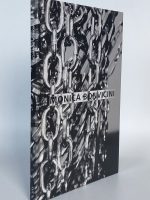 Monica Bonvivini. Cut