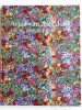 Arjan van Arendonk. Silicon, Paint & Fabric