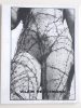 Vilem Reichmann