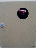 Ken Gregory.  Cheap Meat Dreams and Acorns